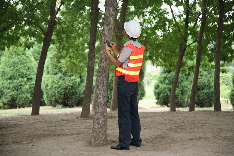 1513505805585146.jpg 森林病虫害.jpg