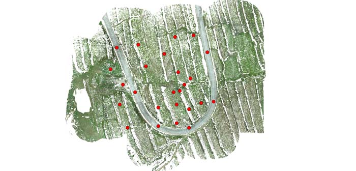 1657854551259954.jpg 17.jpg