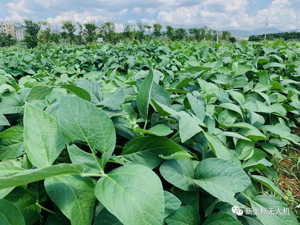 1658734543669359.jpg 640 (1).jpg