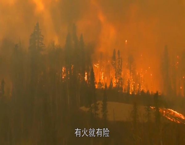 1666770281912445.jpg 图片20.jpg