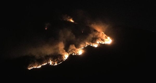 1666770305725817.jpg 图片23.jpg