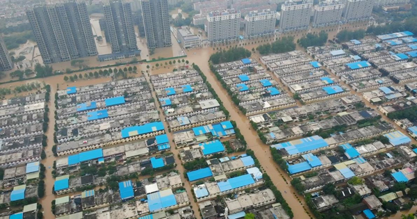 1666770339132279.jpg 图片29.jpg